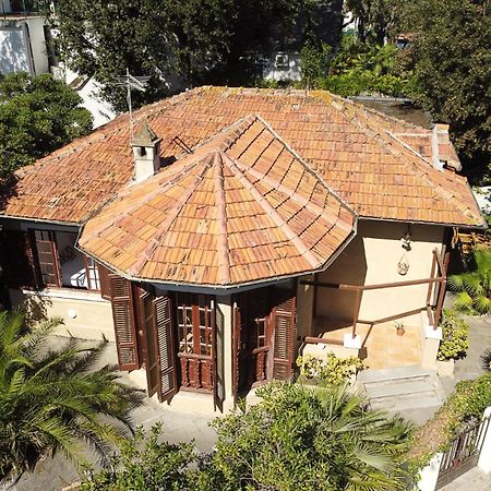 Exclusive Charming Villa - Free Parking 400 Mq Garden - Rome Airport - Roseto Villa Dream Fregenae Exteriör bild